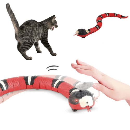 brinquedo para gato, brinquedo interativo para gatos, brinquedo cobra para gatos, cobra inteligente para gatos, mundomiauauau, miauauau