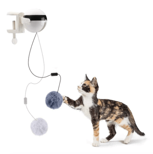 brinquedo interativo para gatos, pêndulo para gatos, brinquedo para gatos, brinquedo automático, brinquedo elétrico para gatos, mundomiauauau, miauauau