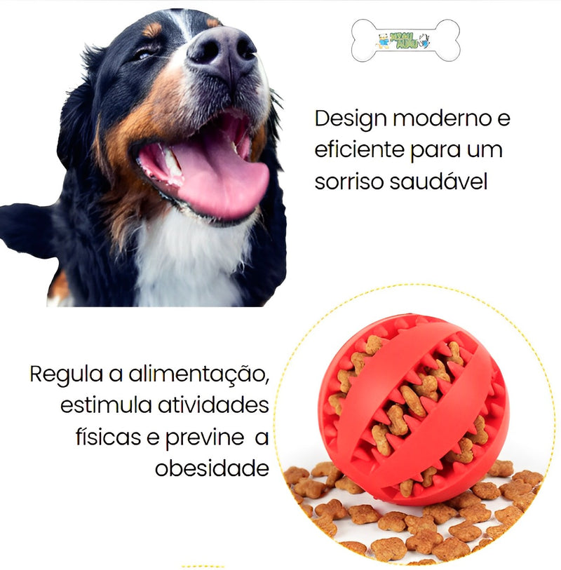 bolinha de enriquecimento ambiental, brinquedo para limpeza de dentes de cachorro, bola de enriquecimento ambiental para cachorro, saúde bucal canina, escovação de dentes de cachorro, cuidados com a boca do cachorro, mundomiauauau, miauauau